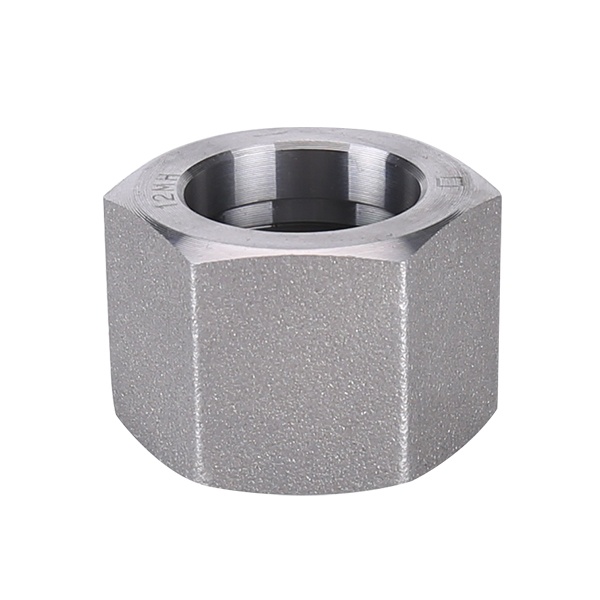 Pipe fitting high pressure nut