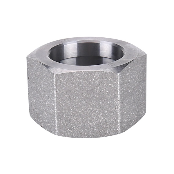 Pipe fitting high pressure nut