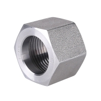 Pipe fitting high pressure nut