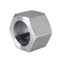 Pipe fitting high pressure nut